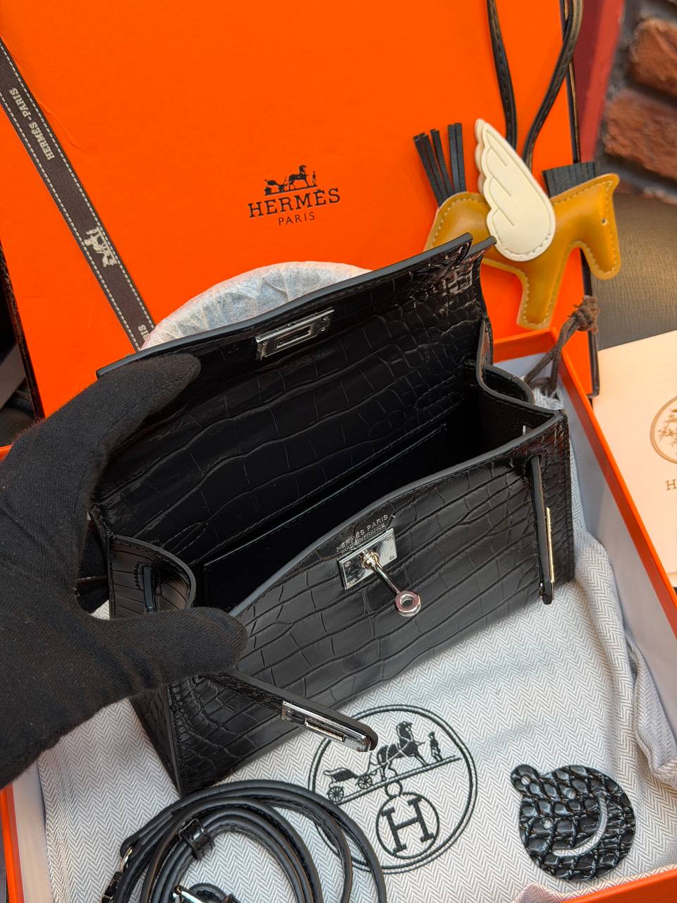 HMS - Kelly 19 - (Video)